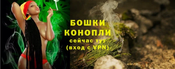не бодяженный Новодвинск