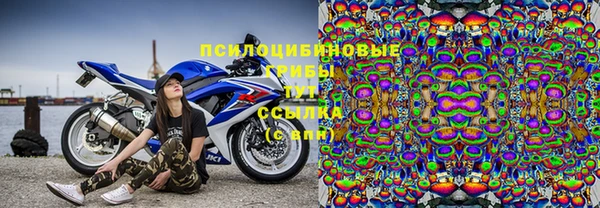 соль ск Няндома