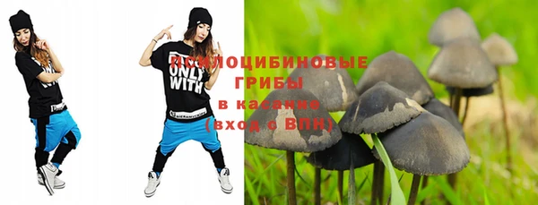 СК Нягань