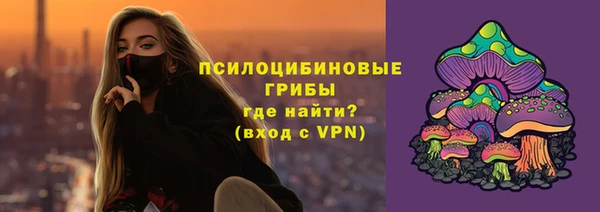 дмт Новозыбков
