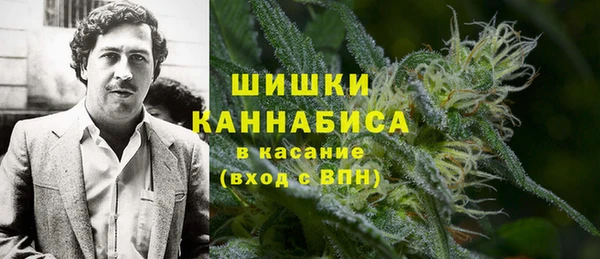 не бодяженный Новодвинск