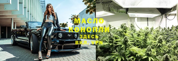 не бодяженный Новодвинск