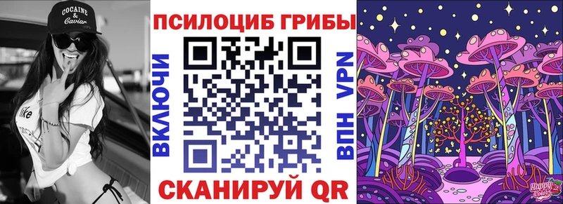 где можно купить наркотик  Прохладный  Галлюциногенные грибы прущие грибы 